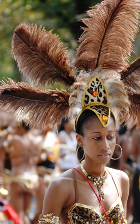 http:  taishimizu.com pictures brooklyn west indian canival parade nikon 80 200 f 2 8 af d brown feathers thumb.jpg