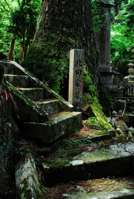 http:  taishimizu.com pictures koyasan mt koya graveyard nikon nikkor 24mm f2 ais thumb.jpg