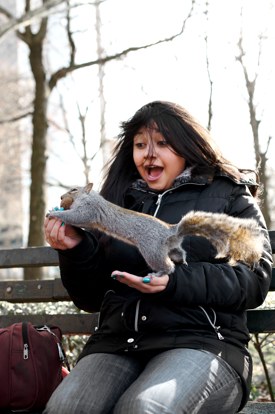 http:  taishimizu.com pictures odds n ends nikon 50mm f1 4 af d feeding the squirrels thumb.jpg
